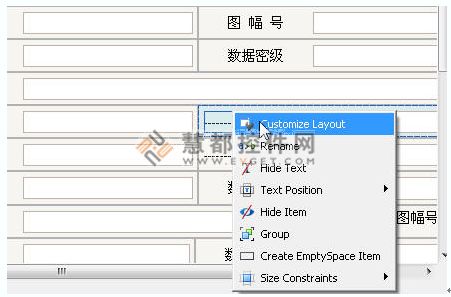 ExpressLayoutControl,DEV控件,LayoutControl的使用,慧都控件網